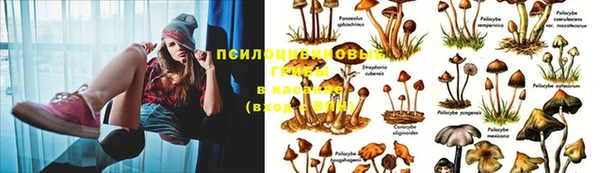 бошки Богородицк