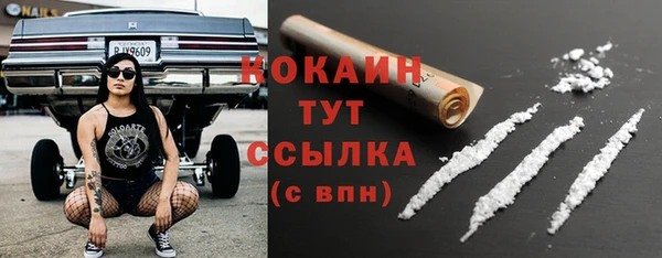 молекула духа Сосновка