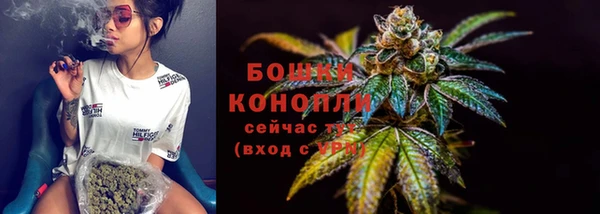 spice Белокуриха