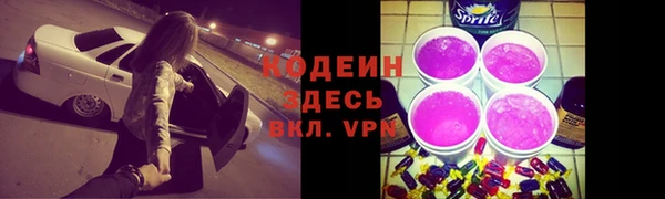 МДПВ Снежногорск