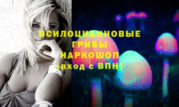 spice Белокуриха