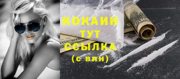 бошки Богородицк