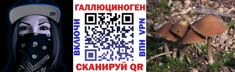 купить закладку  Беслан  Псилоцибиновые грибы мухоморы 