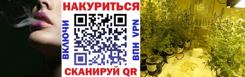 кракен как зайти  Беслан  Шишки марихуана Ganja 